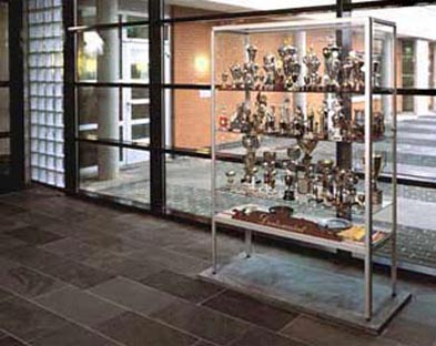 Collection of sports awards