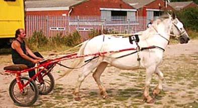 Brigg Fair