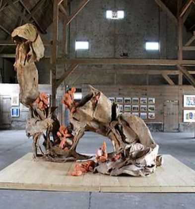 Work: Maartje Korstanje