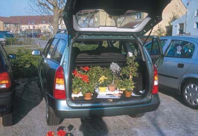 Moving the plants