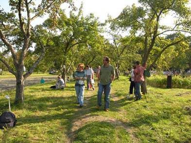 Sound installation in the apple trees
