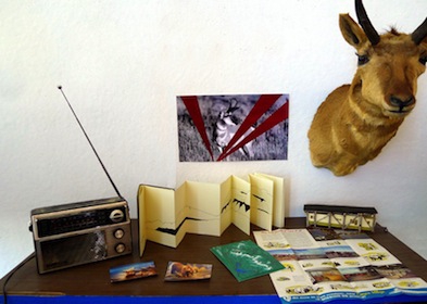 Sculptural exhibit <em>Trailside Museum</em>